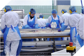 Gomma settore ALIMENTARE